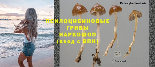 a pvp Краснотурьинск